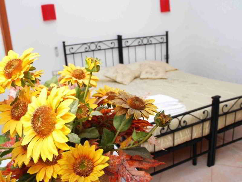 Pensionat Dandi Domus Rom
